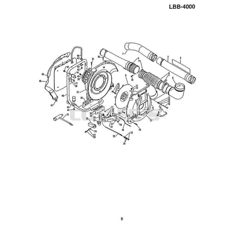 Case, Fan