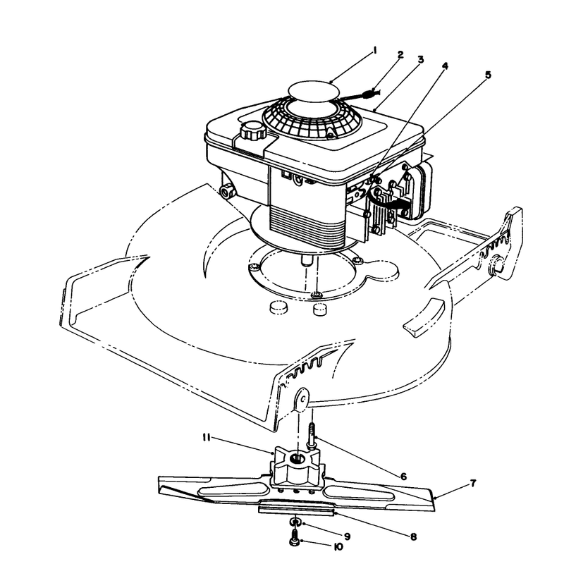 Engine Assembly