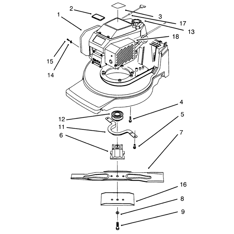Engine Assembly