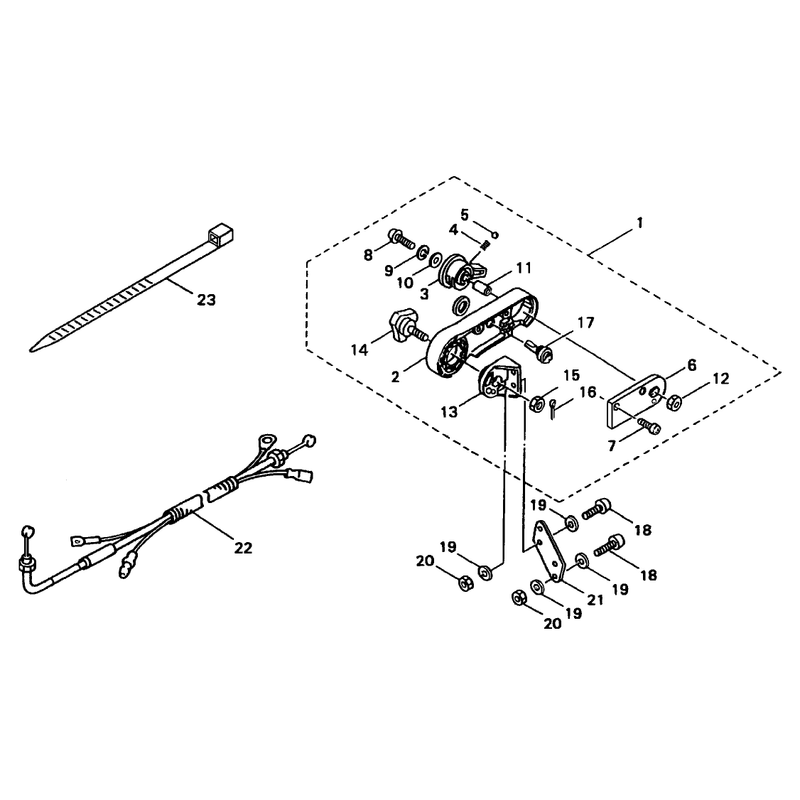 Throttle Assembly
