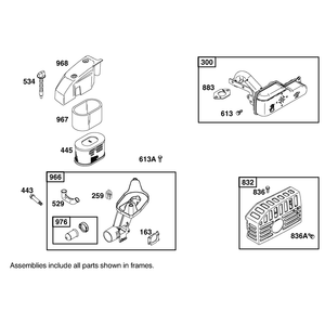 Air Cleaner Assembly