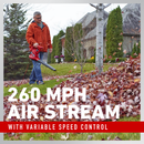 Toro 51619 340 CFM Ultra Corded Electric Leaf Blower/Vac