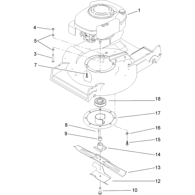 Engine and Blade Assembly
