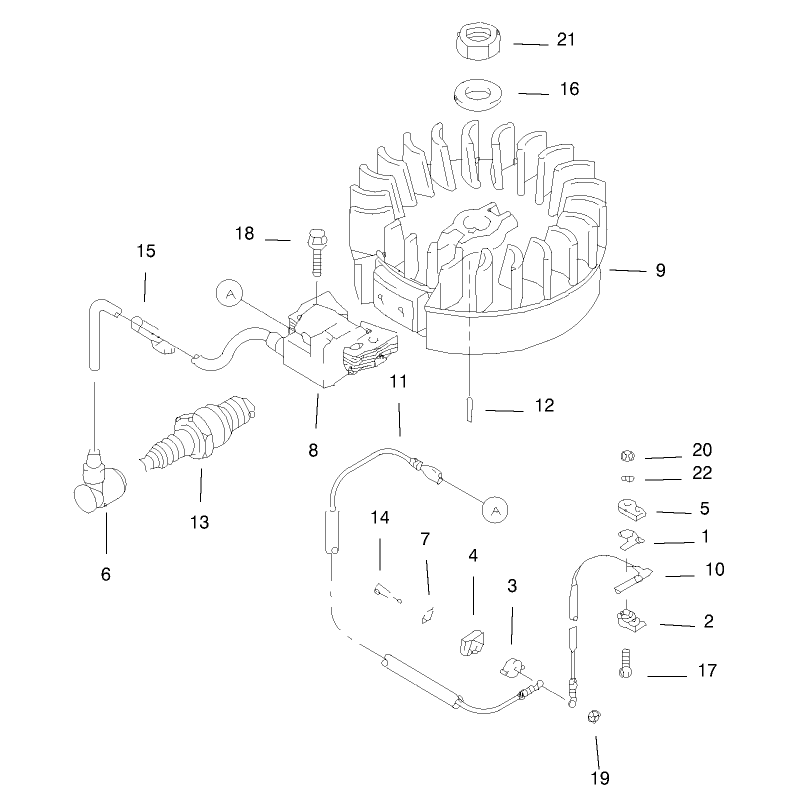 Flywheel and Ignition Assembly