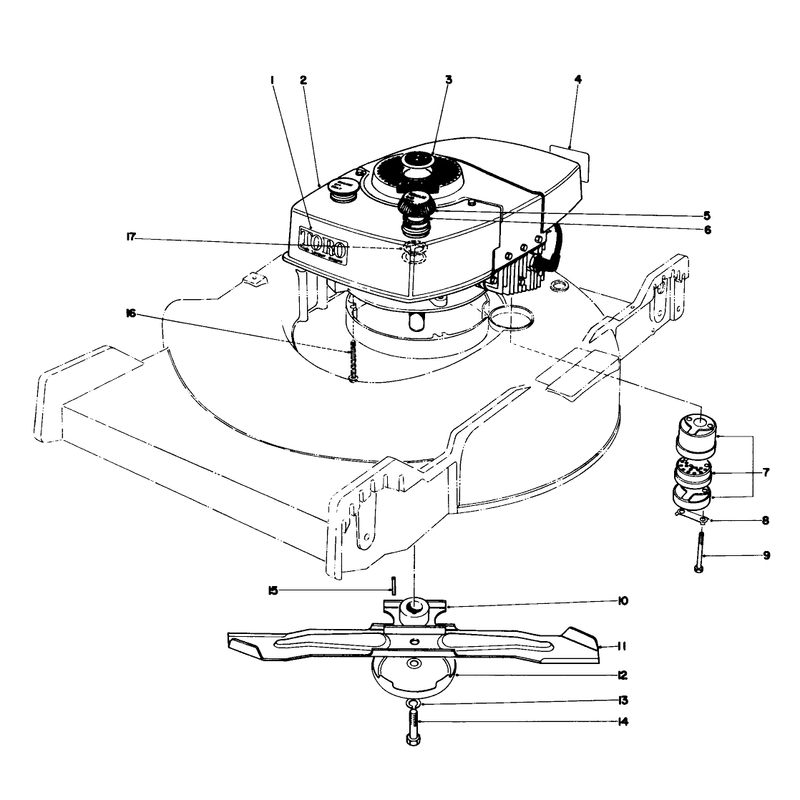 Engine Assembly