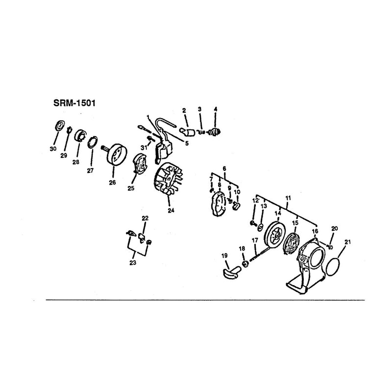 Clutch Ignition and Recoil Starter