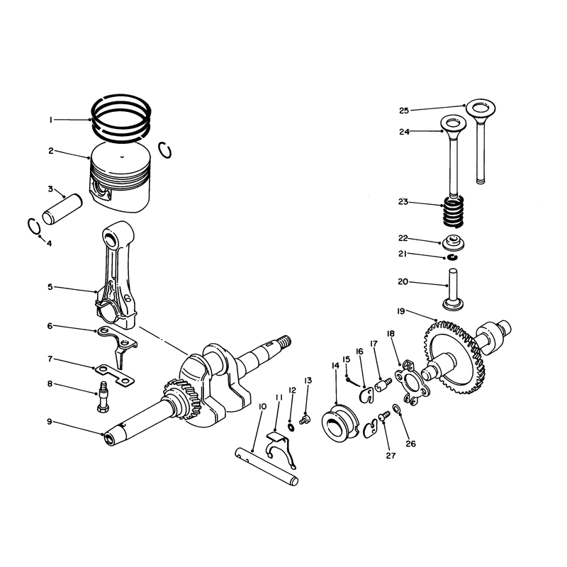 Crank Shaft and Cam Shaft