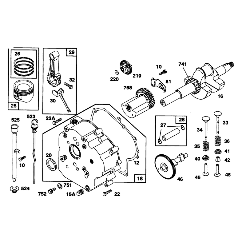 Engine Briggs & Stratton Models 252416-0756-01 & 252416-0757-01