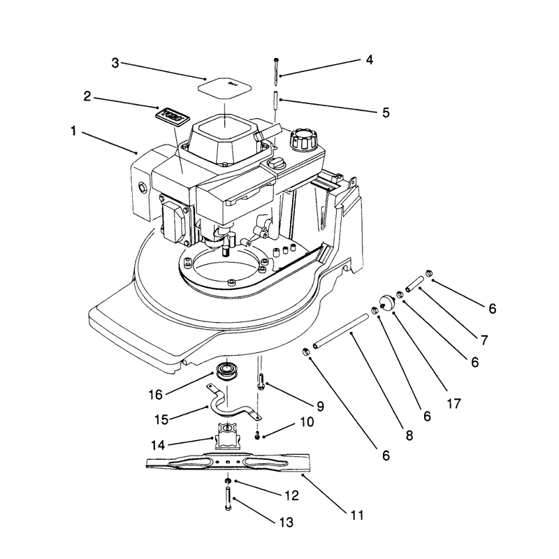 Engine Assembly