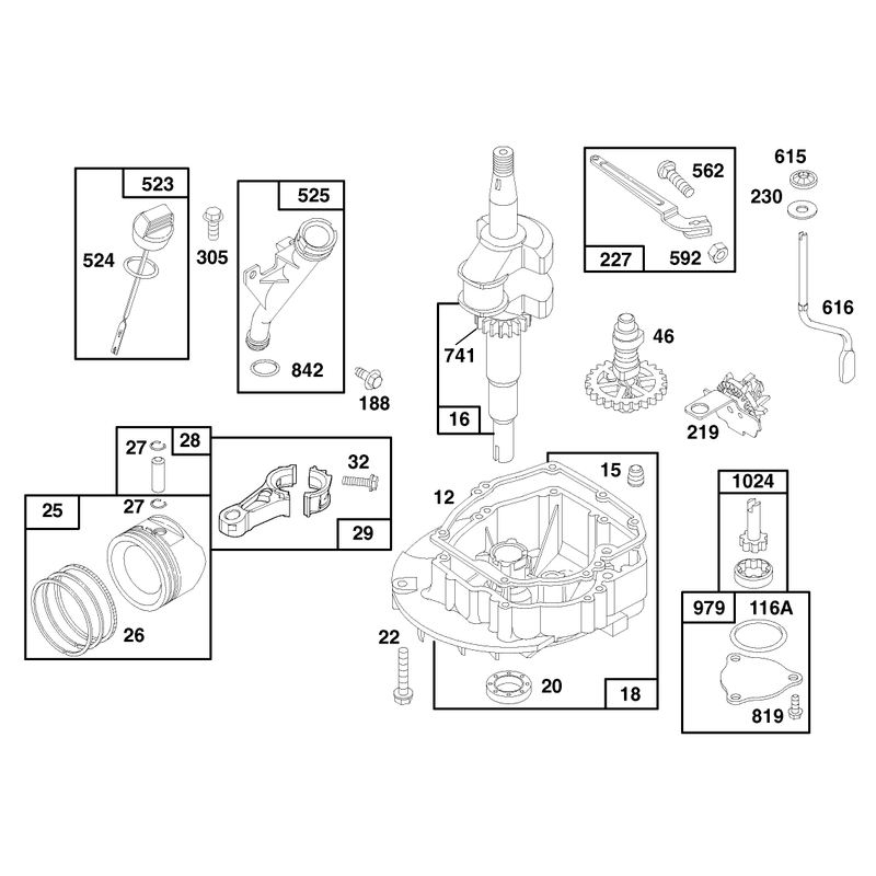 Engine GTS 150 Model No 20466 Only