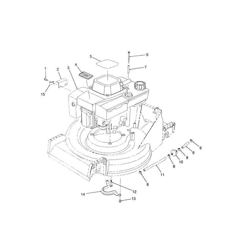 Engine Assembly