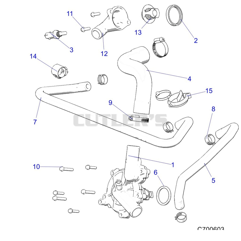 Engine, Waterpump and Bypass