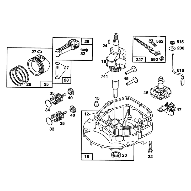 Engine Briggs and Stratton Model 124702-0189-01