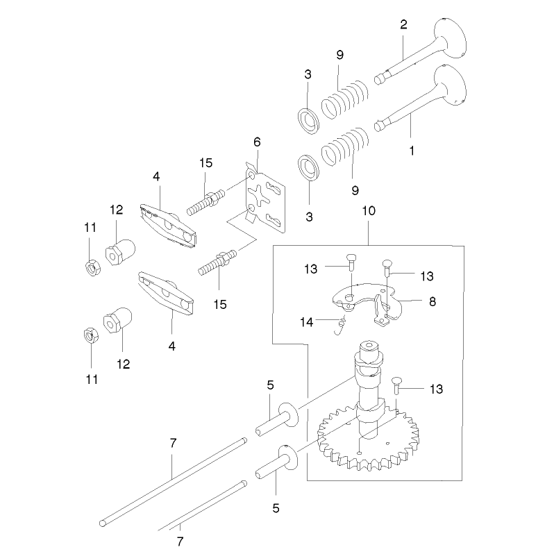 Valve and Camshaft Assembly