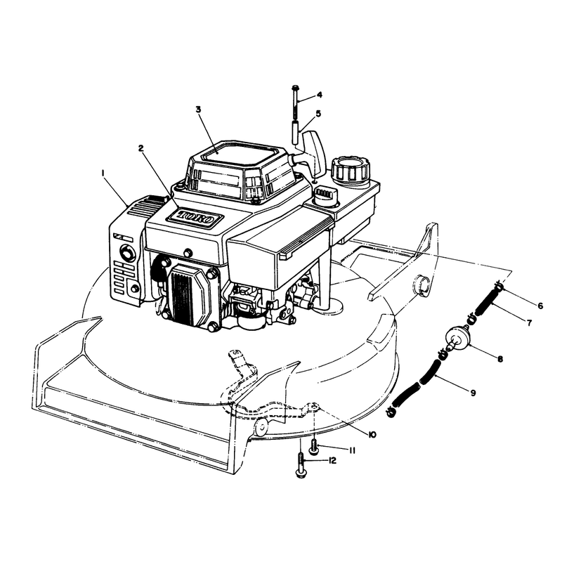 Engine Assembly