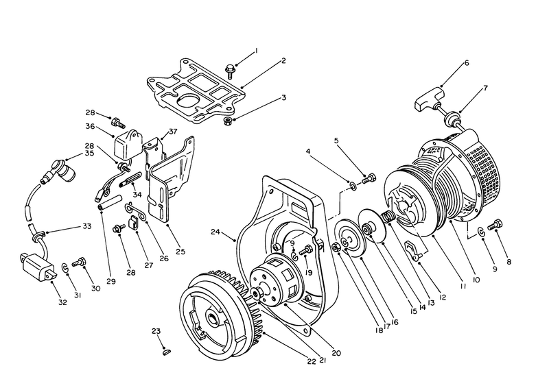 Rewind Starter and Magneto Assembly