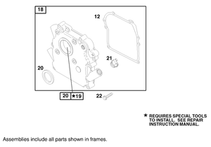 Engine Briggs and Stratton Model 92252-0129-02