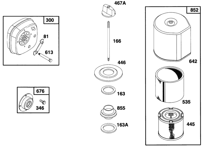 Engine Briggs and Strattonmodel 135202 0263 01