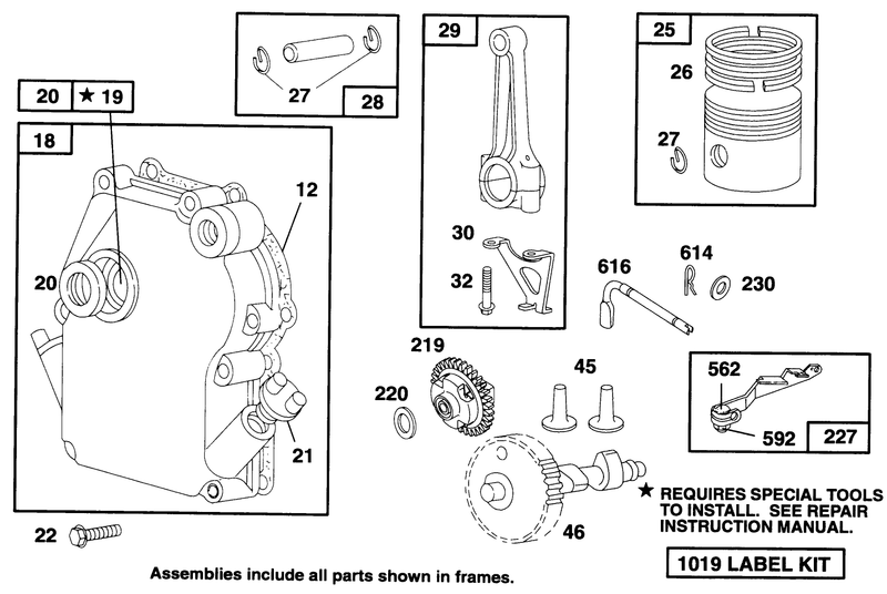 Engine Briggs and Strattonmodel 135202 0263 01