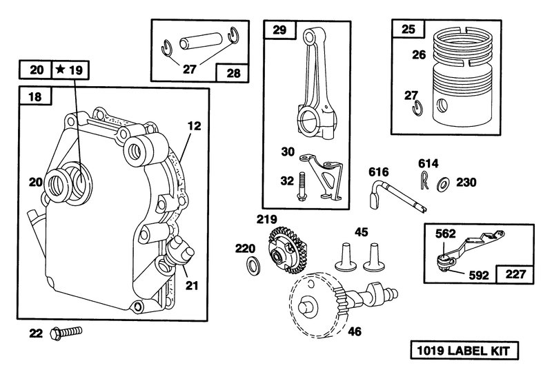 Engine Briggs and Stratton Model 135202 0263 01