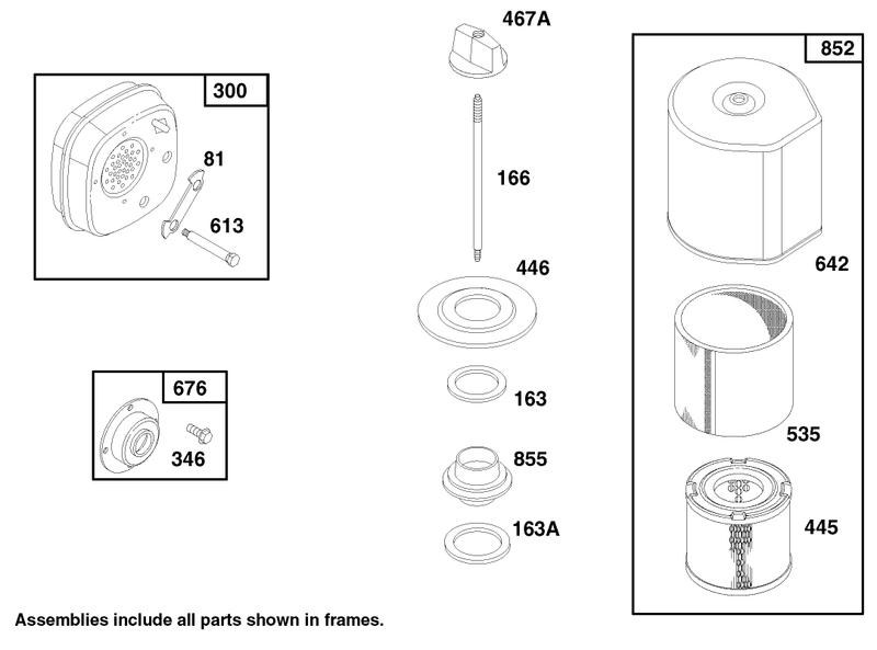 Engine Briggs and Stratton Model 135202 0263 01