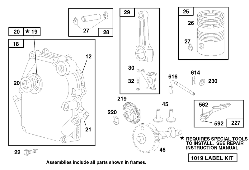 Engine Briggs and Stratton Model 135202 0263 01