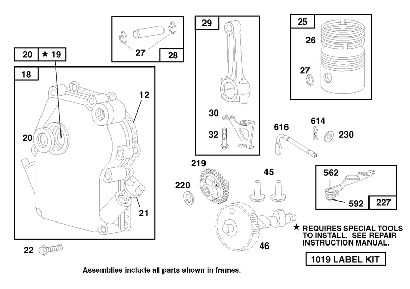 Engine Briggs and Stratton Model 135202 0263 01