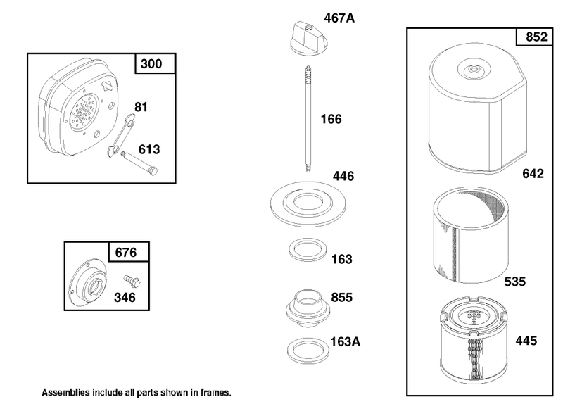 Engine Briggs and Stratton Model 135202 0263 01