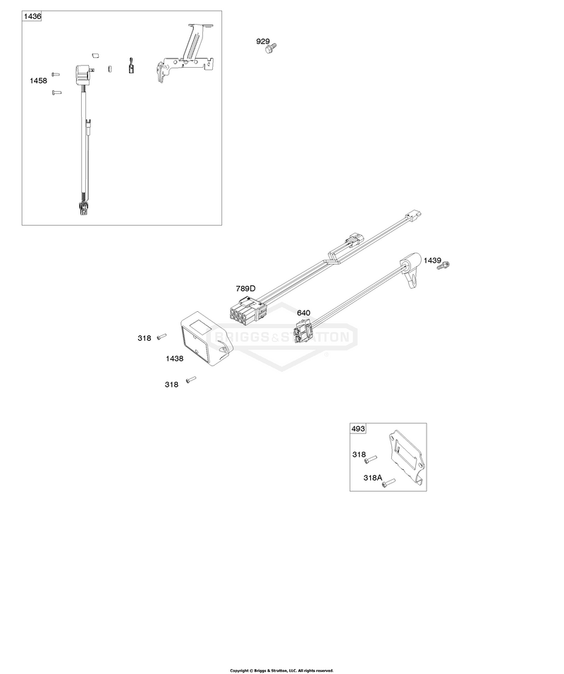 ECU Module