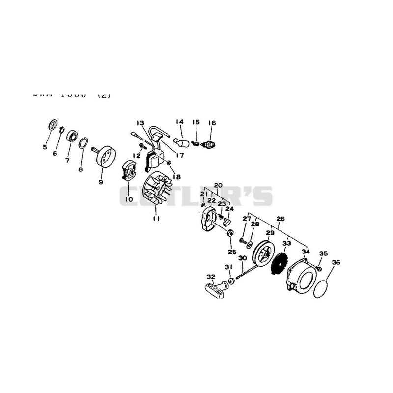 Clutch Ignition and Recoil Starter