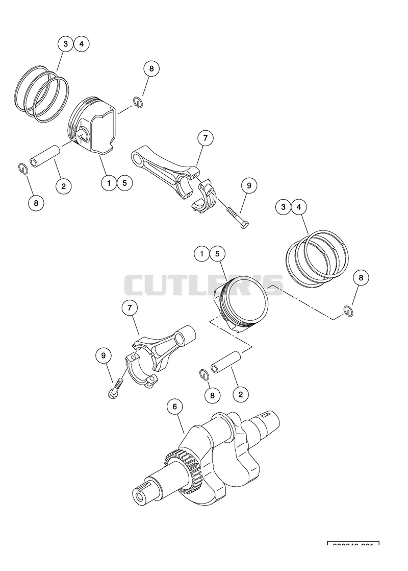 Pistons and Crankshaft