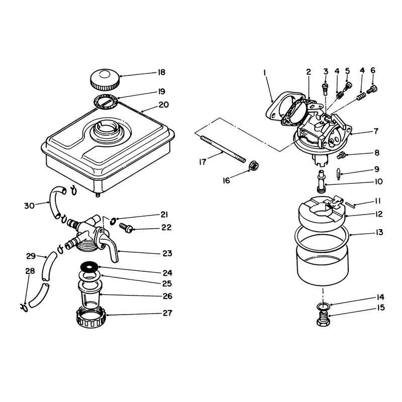 Fuel Tank & Carburetor Assembly