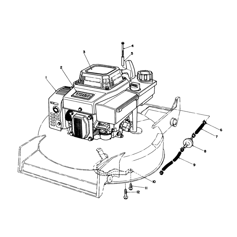 Engine Assembly
