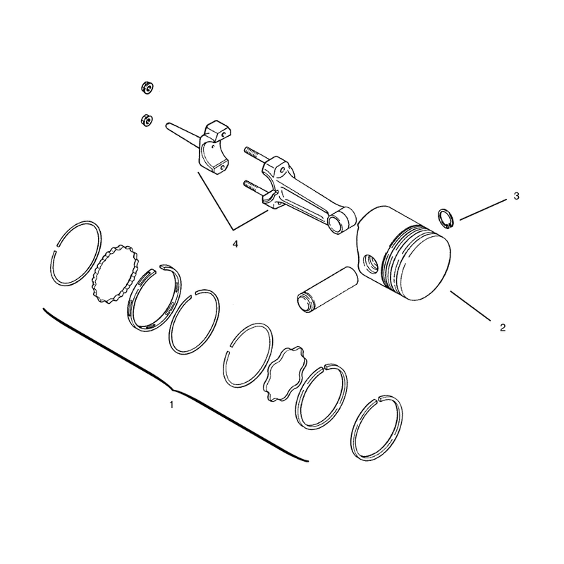 Piston and Rings