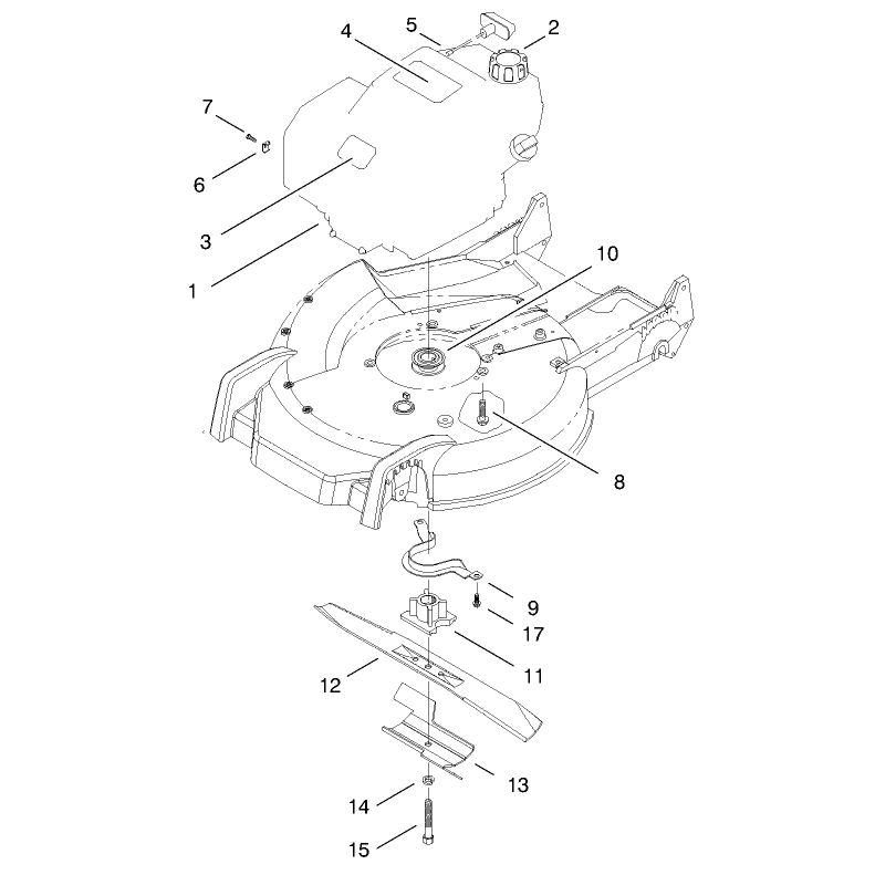 Engine Assembly