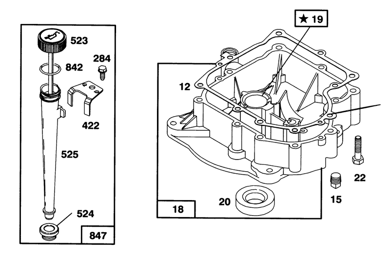 Engine Briggs and Stratton Model 254707 0128 01