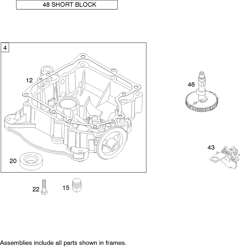 Crankcase Assembly Briggs and Stratton 219907 0170 E1