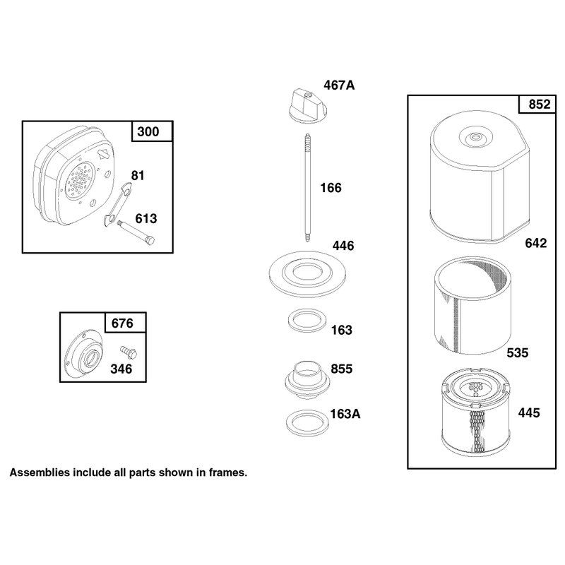 Engine Briggs and Stratton Model 135202-0263-01