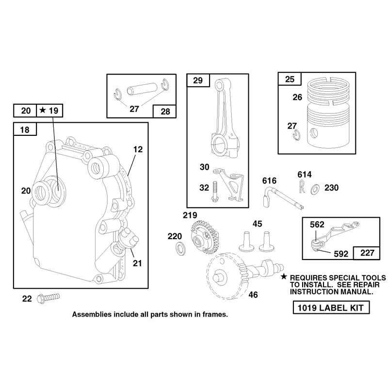 Engine Briggs and Stratton Model 135202-0263-01