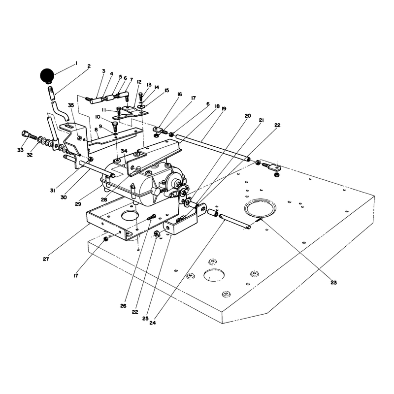 Transmission & Shift Assembly