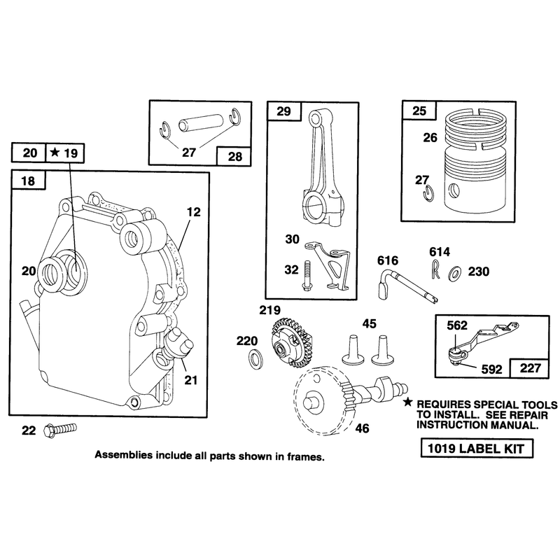 Engine Briggs and Strattonmodel 135202-0263-01