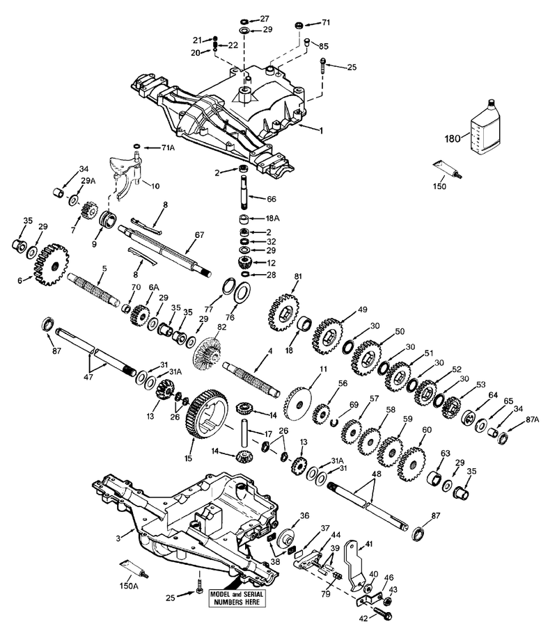 Fender and Fuel System Assembly