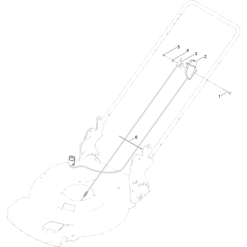 Starter Switch Assembly