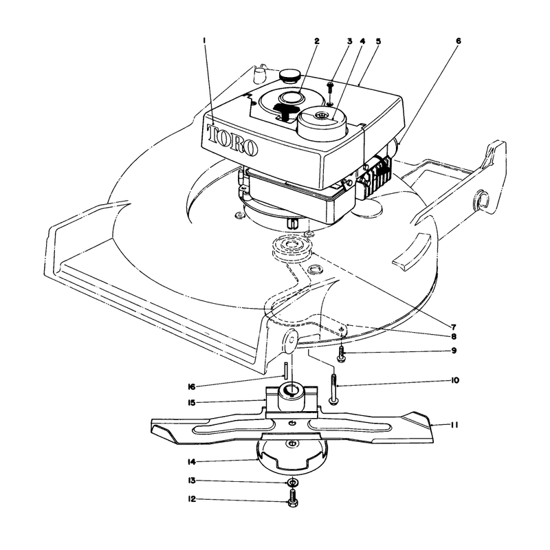 Engine Assembly