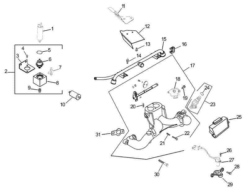 Fuel System Assembly Kohler CH745 0003
