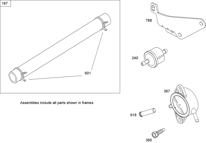 Fuel Line and Pump Assembly Briggs and Stratton 441677 0136 E1