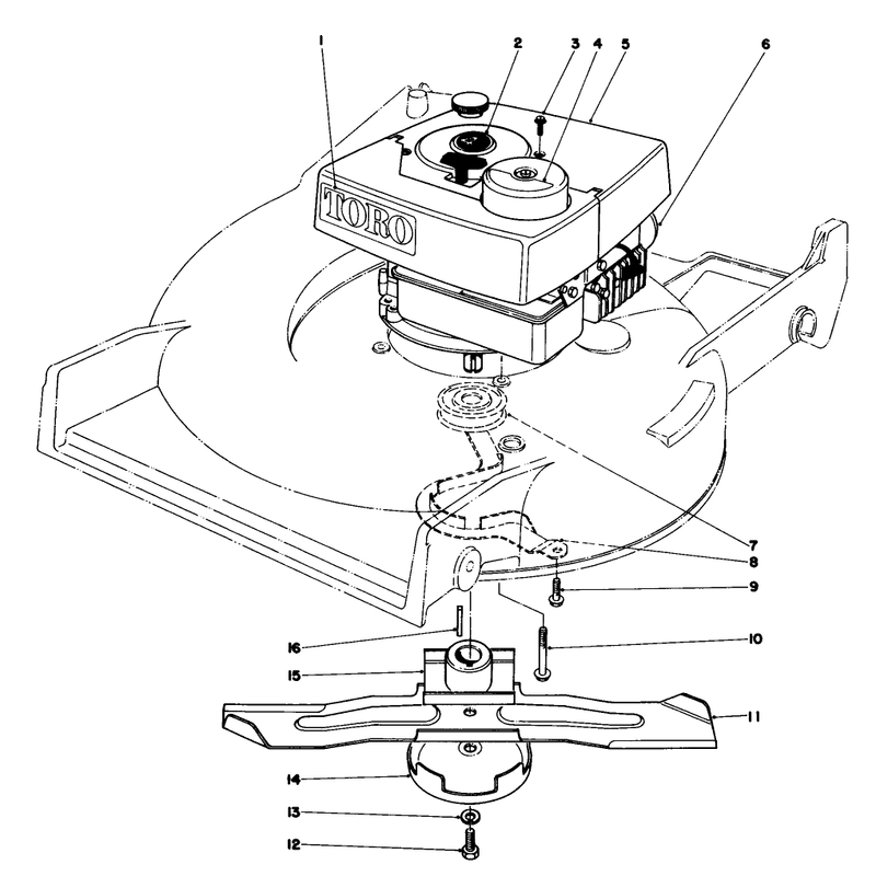 Engine Assembly