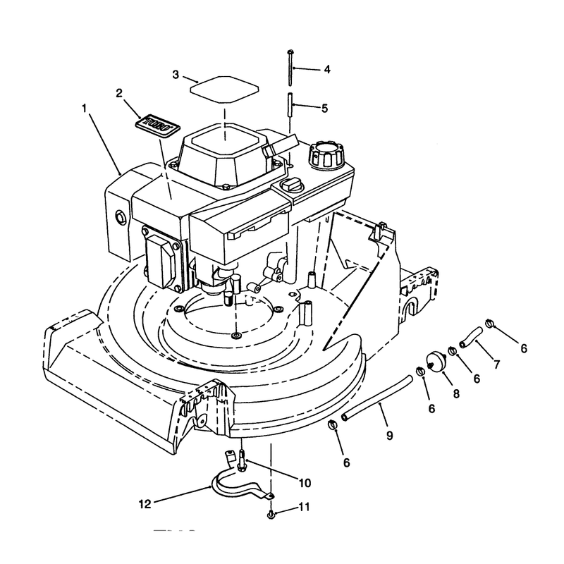 Engine Assembly