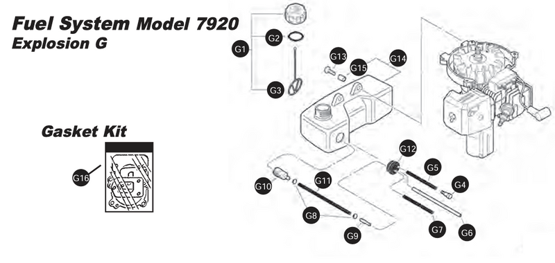 Fuel System Assembly