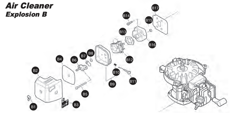 Air Cleaner Assembly